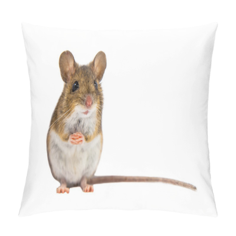 Personality  Cute Field Mouse On White Background Pillow Covers