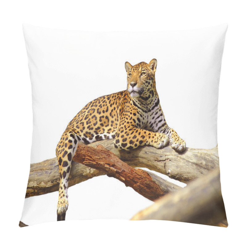 Personality  Jaguar Pillow Covers