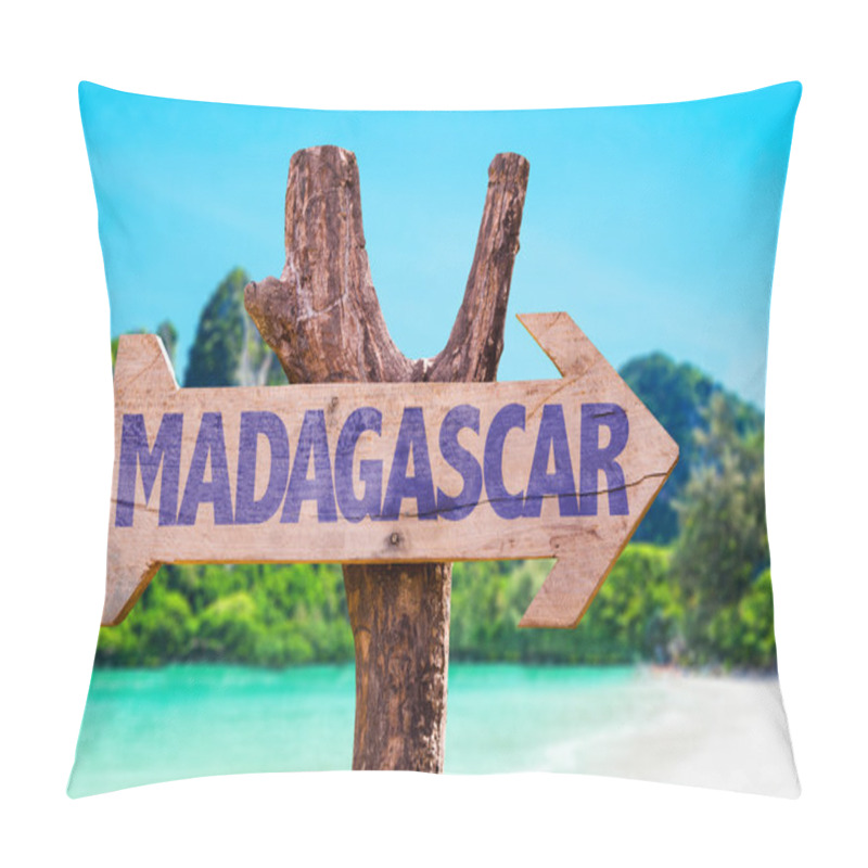 Personality  Madagascar Wooden Sign Pillow Covers