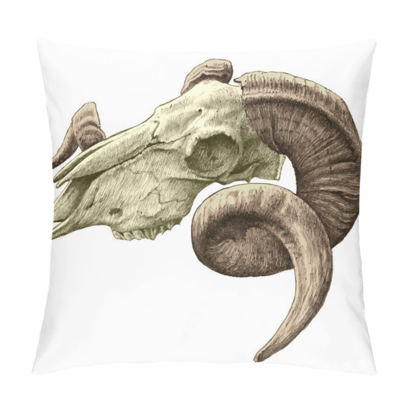 Personality  Illustration With Goat  Skull Pillow Covers