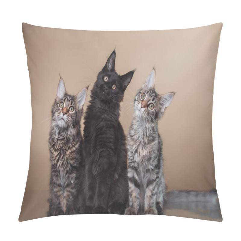 Personality  Maine Coon Kitten Portrait Pillow Covers