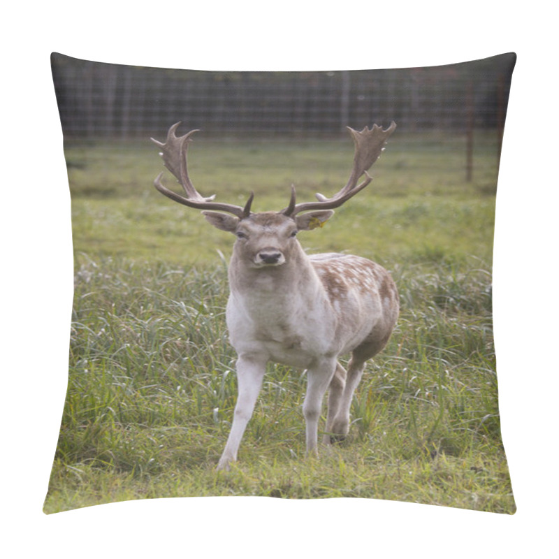 Personality  Beautiful Adult Deer Pillow Covers