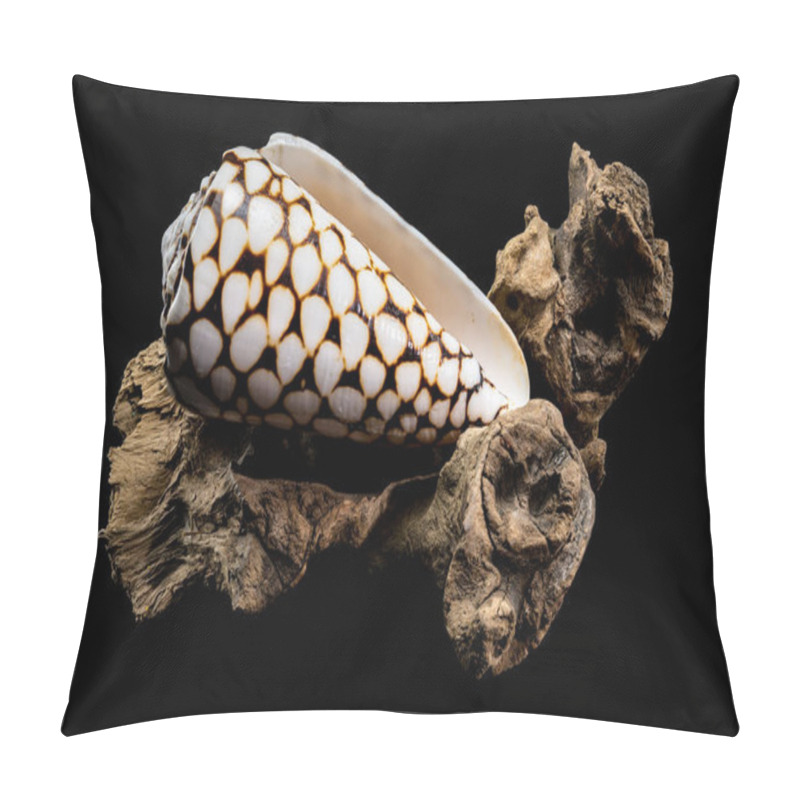 Personality  A Detailed Close-up Of A Conus Marmoreus Shell, Known For Its Marbled Black-and-white Pattern, Elegantly Perched On Driftwood Against A Black Background. Perfect For Marine And Nature Themes Pillow Covers