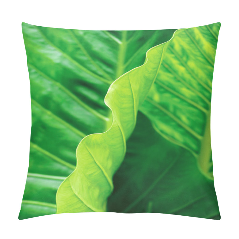 Personality  Tropical Leaf Abstract Pillow Covers