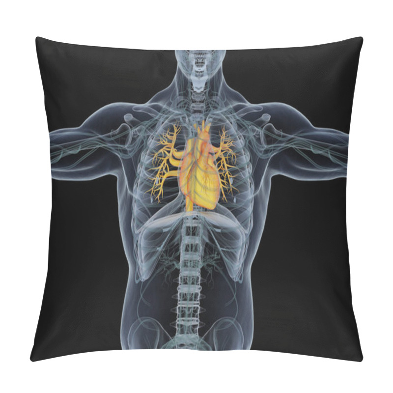 Personality  Human Heart Anatomy Model Pillow Covers