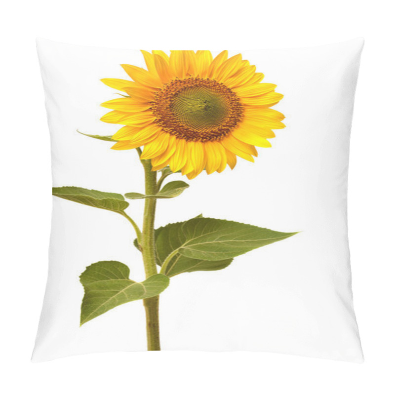 Personality  Sunflower Pillow Covers