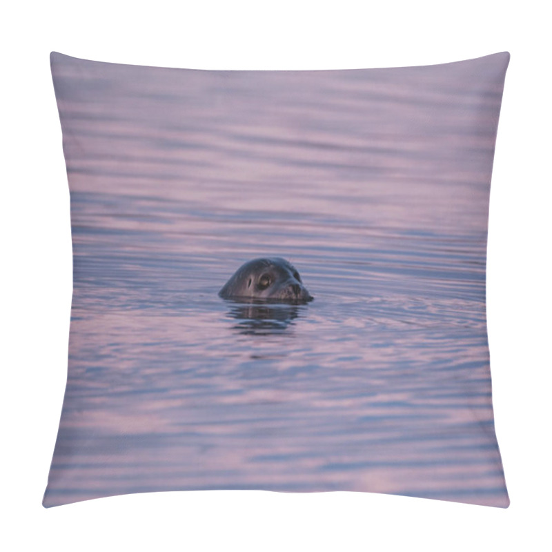 Personality  Harbor Seal Peeking Out Of The Calm Water At Jokusarlon Glacier Lagoon, Southeast Iceland, During A Colorful Evening. Pillow Covers