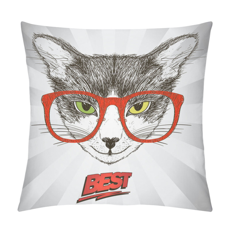 Personality  Graphic Poster With Hipster Cat Dressed In Red Glasses, Against Pop-art Background With Rays Pillow Covers