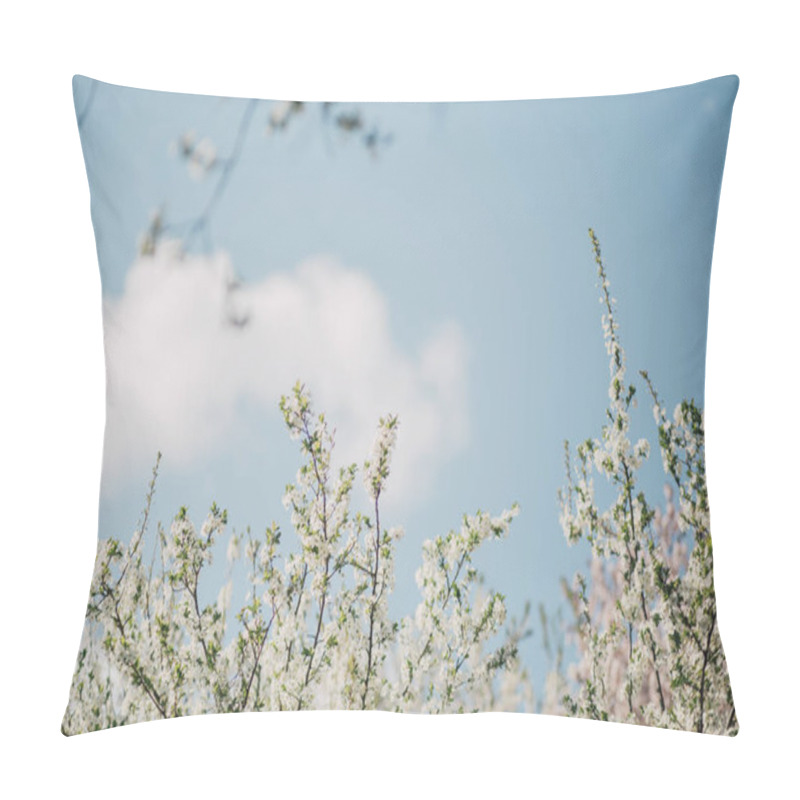 Personality  Blooming Tree Flowers In The Garden  Pillow Covers