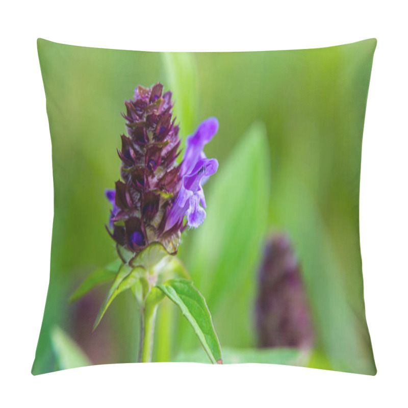 Personality  Prunella Vulgaris Makro Single Natural Flower, Medicinal Herbs Nature Background. Pillow Covers