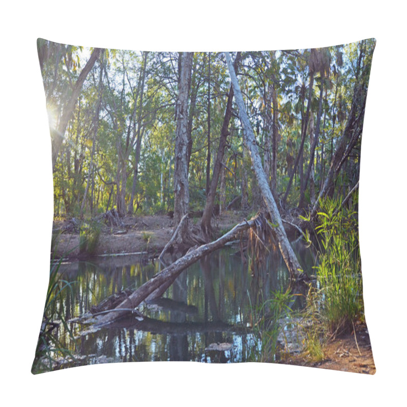 Personality  Sunshine, Fallen Trees, Palms And Pandanus Along The Banks Of The Green Waters Of Lawn Hill Creek, Boodjamulla National Park, Outback Northern Queensland. Colorful Reflections Of Riverbank Vegetation And Sky In The Water. Pillow Covers