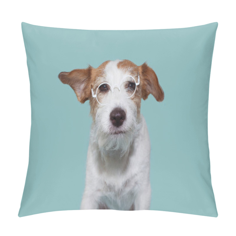 Personality  FUNNY INTELLECTUAL JACK RUSSELL DOG WEARING WHITE  EYE GLASSES. ISOLATED AGAINST BLUE COLORED BACKGROUND. STUDIO SHOT. Pillow Covers