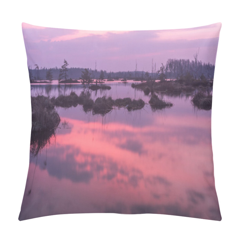 Personality  Swamp Lake In Spring Time Pillow Covers