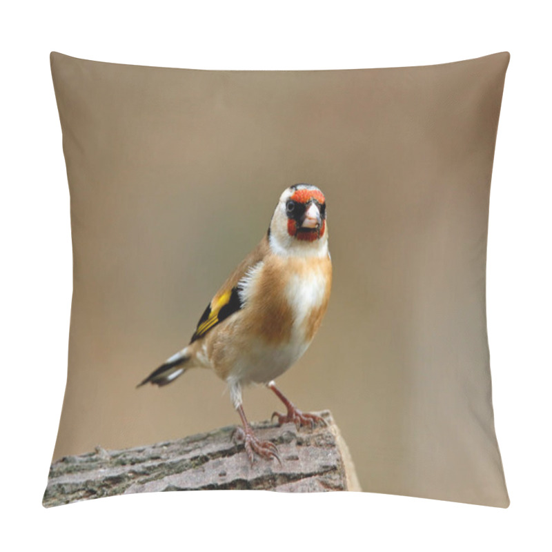 Personality  Goldfinch In The Woods Pillow Covers