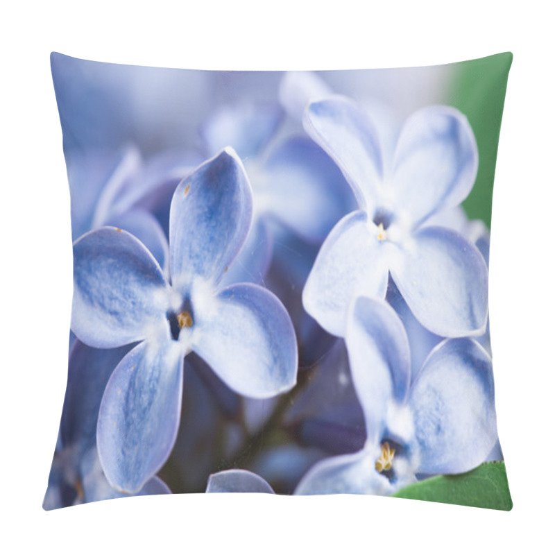 Personality  Macro Image Of Spring Lilac Violet Flowers Pillow Covers