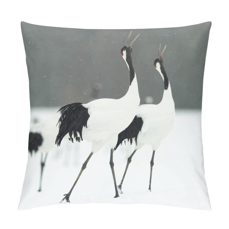 Personality  The Ritual Marriage Dance Of Cranes. The Red-crowned Cranes. Scientific Name: Grus Japonensis, Also Called The Japanese Crane Or Manchurian Crane, Is A Large East Asian Crane. Pillow Covers