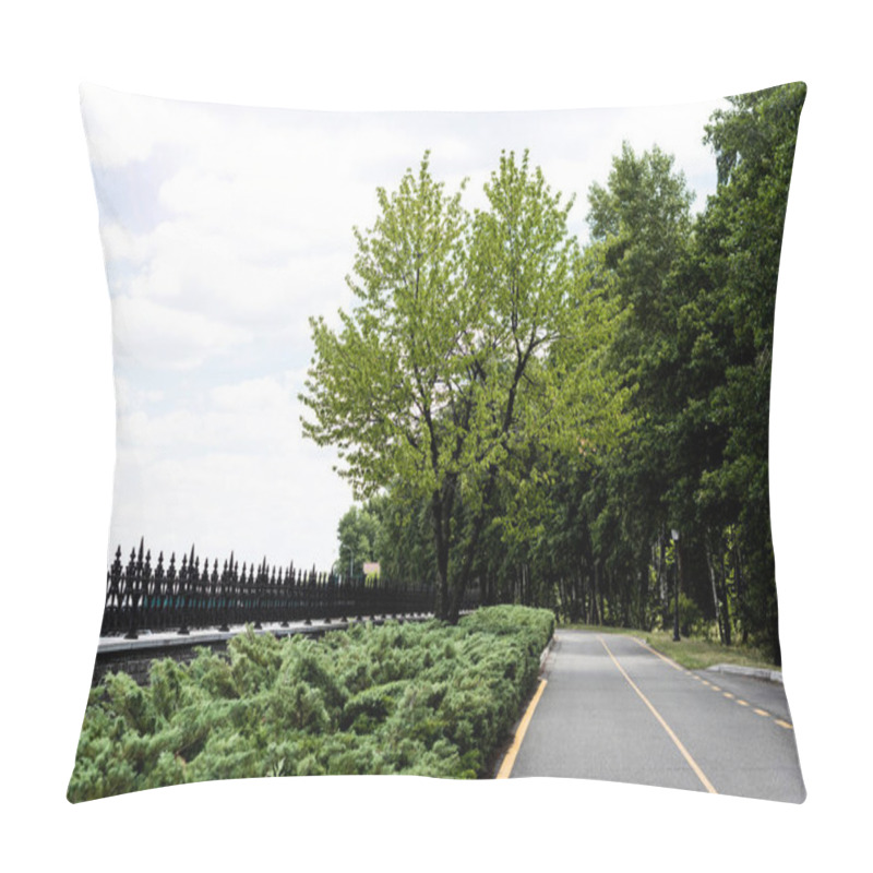 Personality   Path With Yellow Line Near Trees With Green Fresh Leaves  Pillow Covers