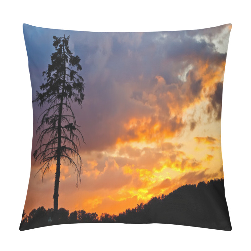 Personality  Pine Tree At Sunset Pillow Covers