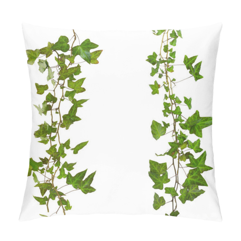 Personality  Sprig Of Ivy With Green Leaves Isolated On A White Background Pillow Covers