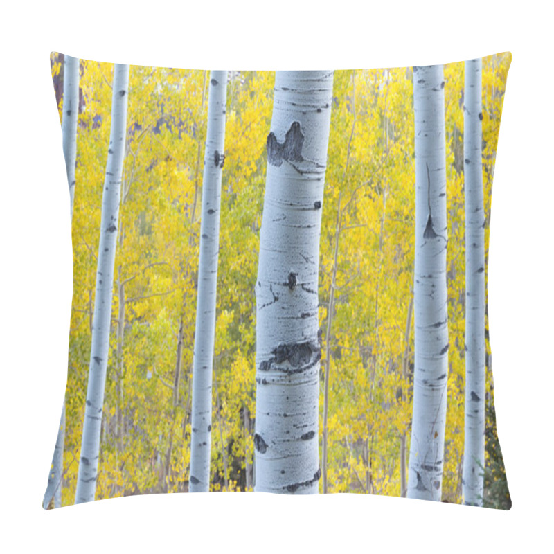 Personality  Aspen Trees Pillow Covers