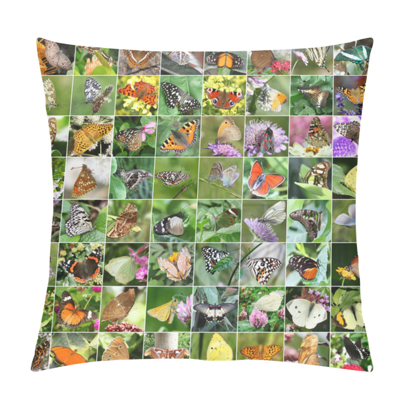 Personality  Butterfly Collage Pillow Covers