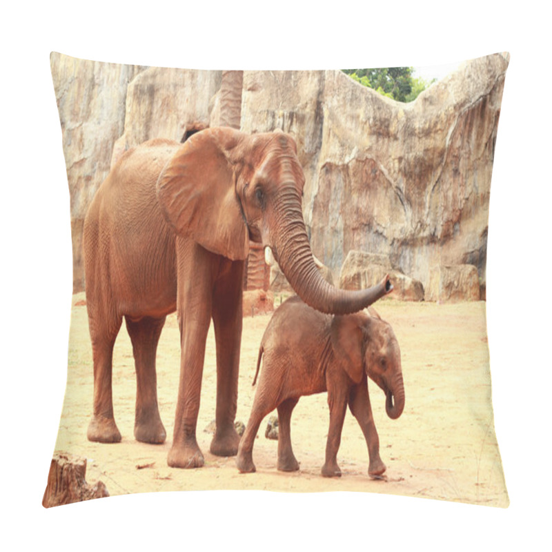 Personality  A Baby And Mother African Elephant Pillow Covers