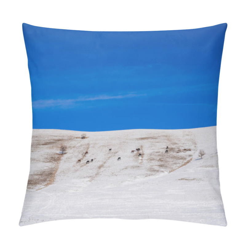 Personality  Winter Landscape With A Herd Of Horses Grazing On Snowy Slopes In The Steppes Of Kazakhstan Pillow Covers