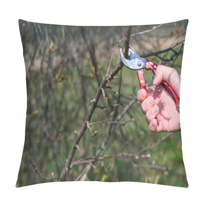 Personality  In The Spring, A Man Prunes And Trims The Branches Of A Fruit-bearing Tree, Spring Work In The Garden. Pillow Covers