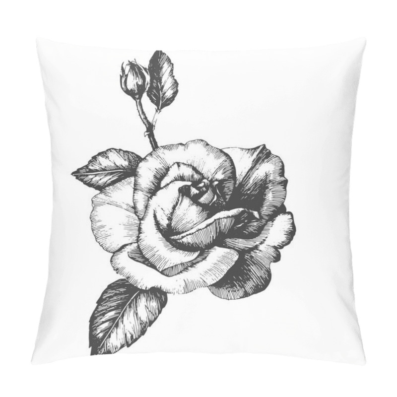 Personality  Wildflower Rose Flower In A Vector Style Isolated. Pillow Covers