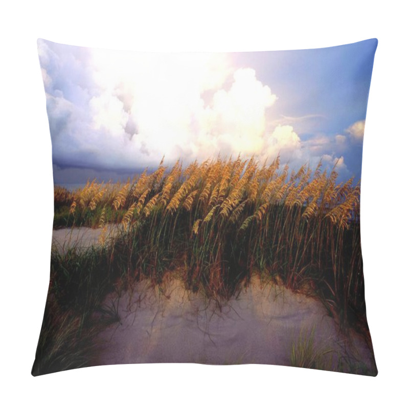 Personality  Bright Field HDR Natural Background Pillow Covers