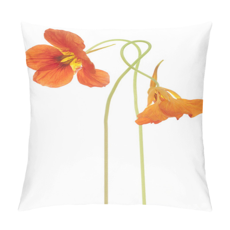 Personality  Nasturtium Pillow Covers