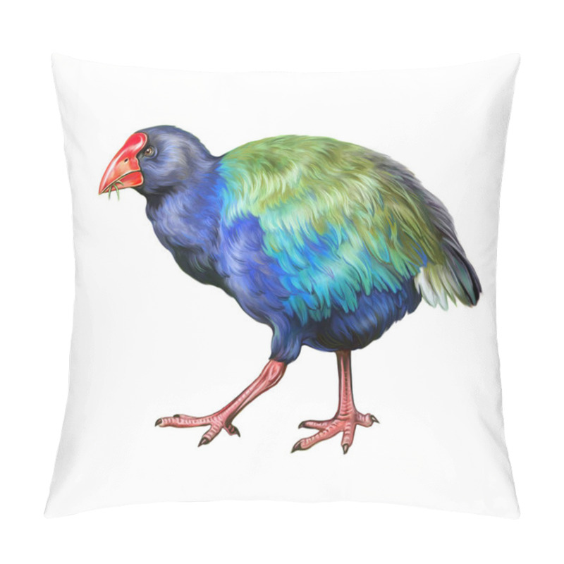 Personality  The Takaht (Porphyrio Hochstetteri) Bierd  - Realistic Drawing Illustration For New Zealand Animal Encyclopedia. Isolated Image On White Background Pillow Covers