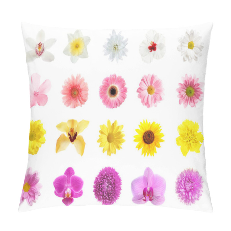 Personality  Set Of Different Beautiful Flowers On White Background Pillow Covers