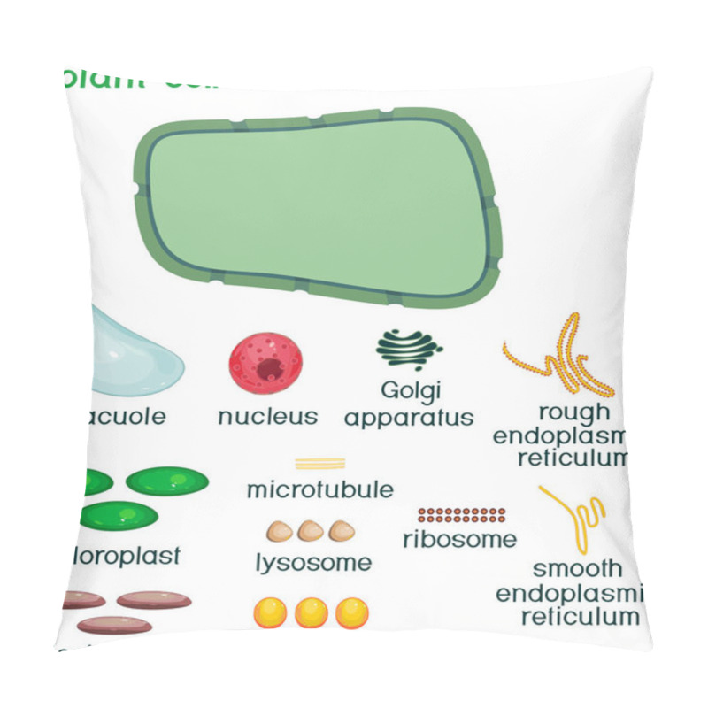 Personality  Educational Game: Assembling Cells From Ready-made Components In Form Of Stickers. Plant Cell Structure With Titles Pillow Covers