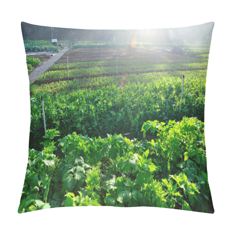 Personality  Celery And Green Peas Growing In Vegetable Garden Pillow Covers