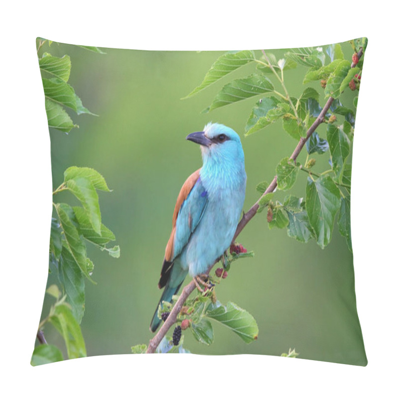 Personality  European Roller (Coracias Garrulus) In Natural Habitat Pillow Covers