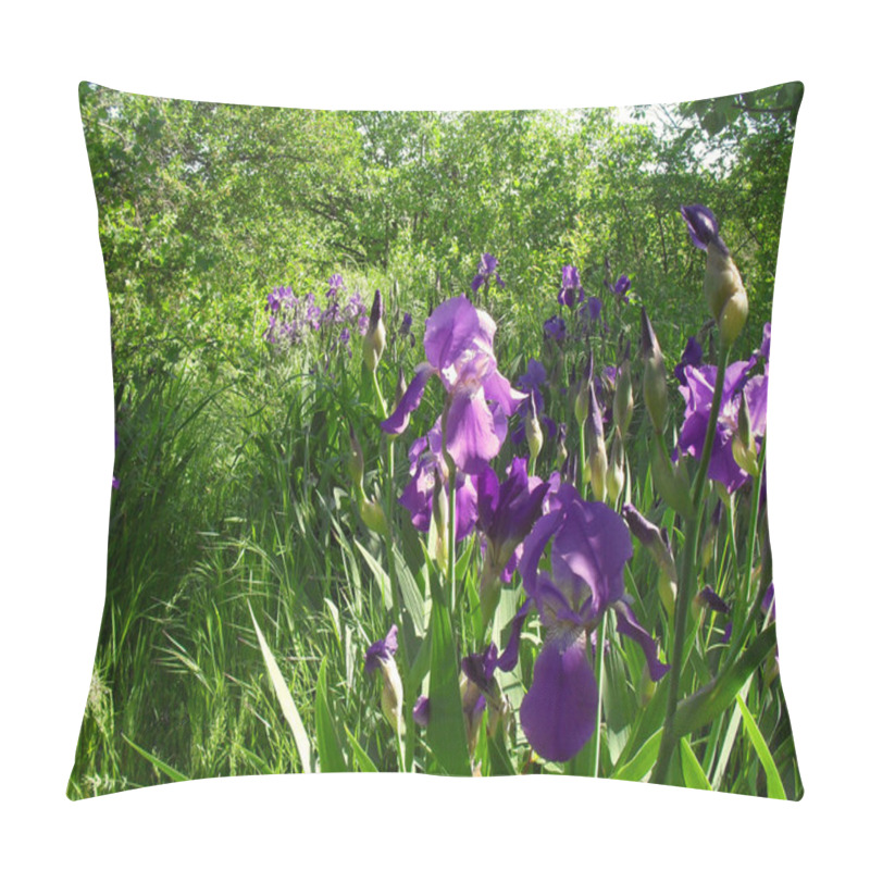 Personality  Violet Irises Close Up. Pillow Covers