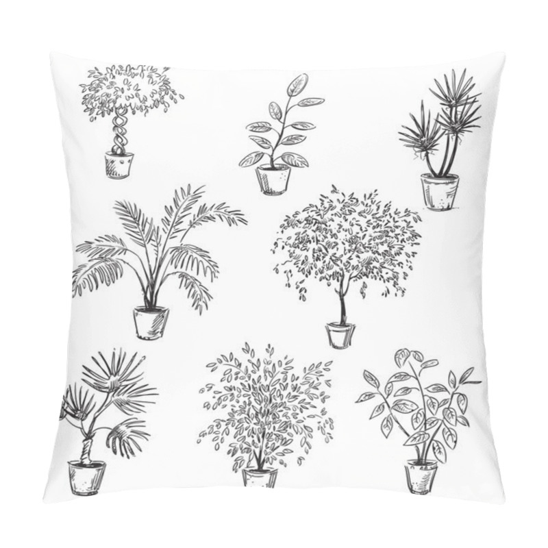 Personality  Set Of Home Flowers In Pots, Vector Drawing Pillow Covers