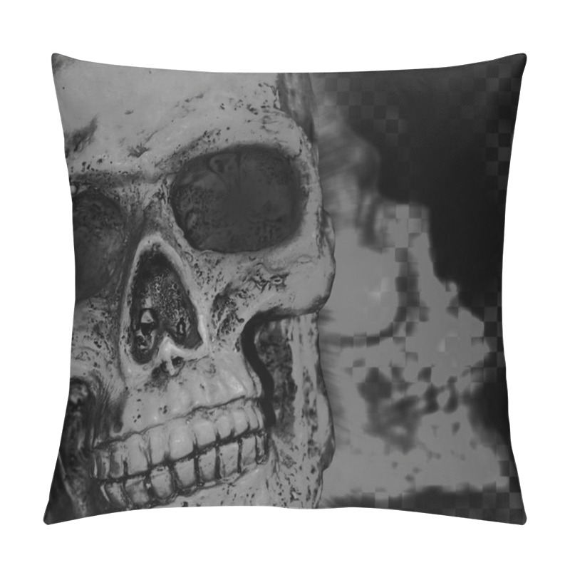 Personality  Skull Scary Background Pillow Covers