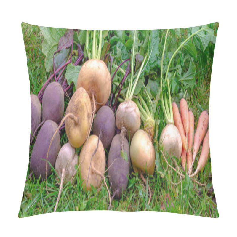 Personality  A Variety Of Root Vegetables, Turnips, Beets And Carrots Are Located On The Green Grass In The Countryside Close-up. Pillow Covers