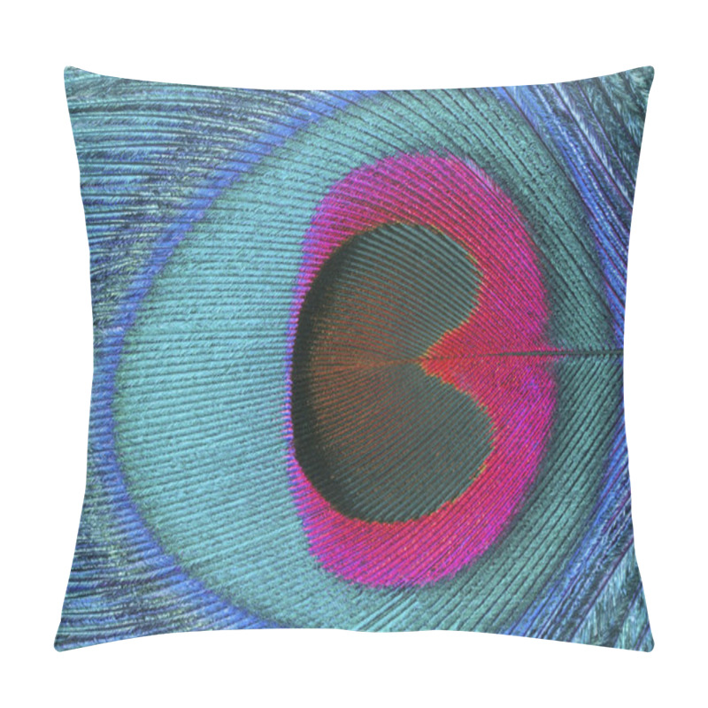 Personality  Blue Peacock Feather  Pillow Covers