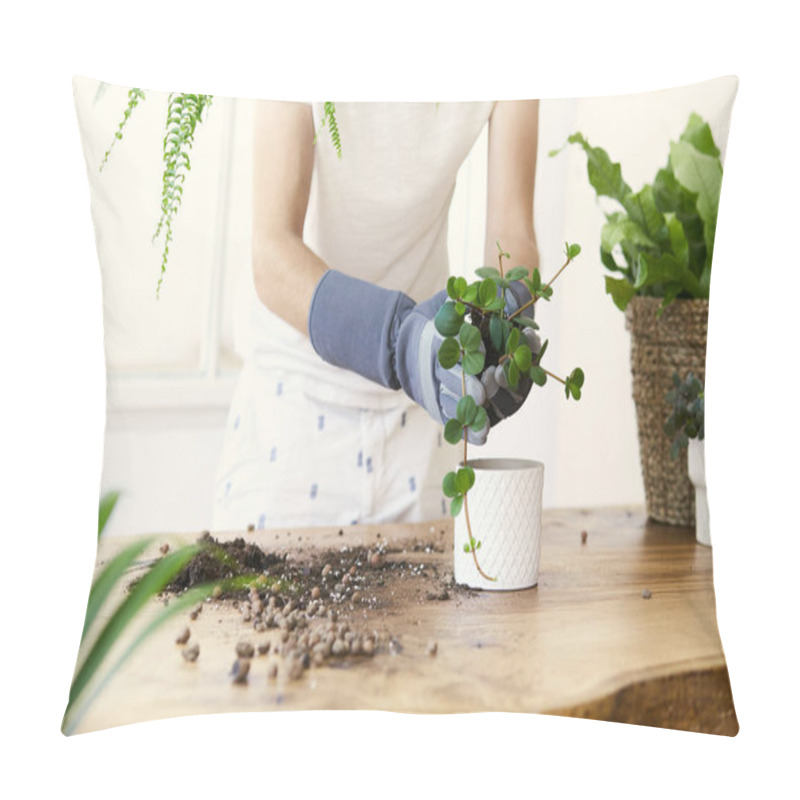 Personality  Man Gardeners Transplanting Plant In Ceramic Pots On The Design Wooden Table. Concept Of Home Garden. Spring Time. Stylish Interior With A Lot Of Plants. Taking Care Of Home Plants. Template. Pillow Covers