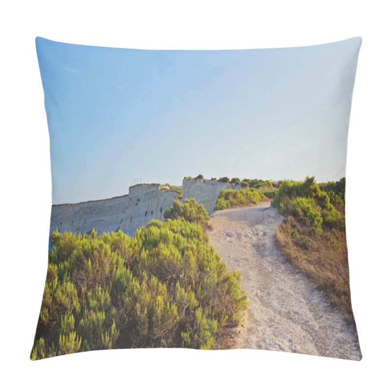 Personality  Winding Trail Meanders Through A Rocky Hill Covered With Vegetation, Bathed In Warm Golden Ligh Pillow Covers