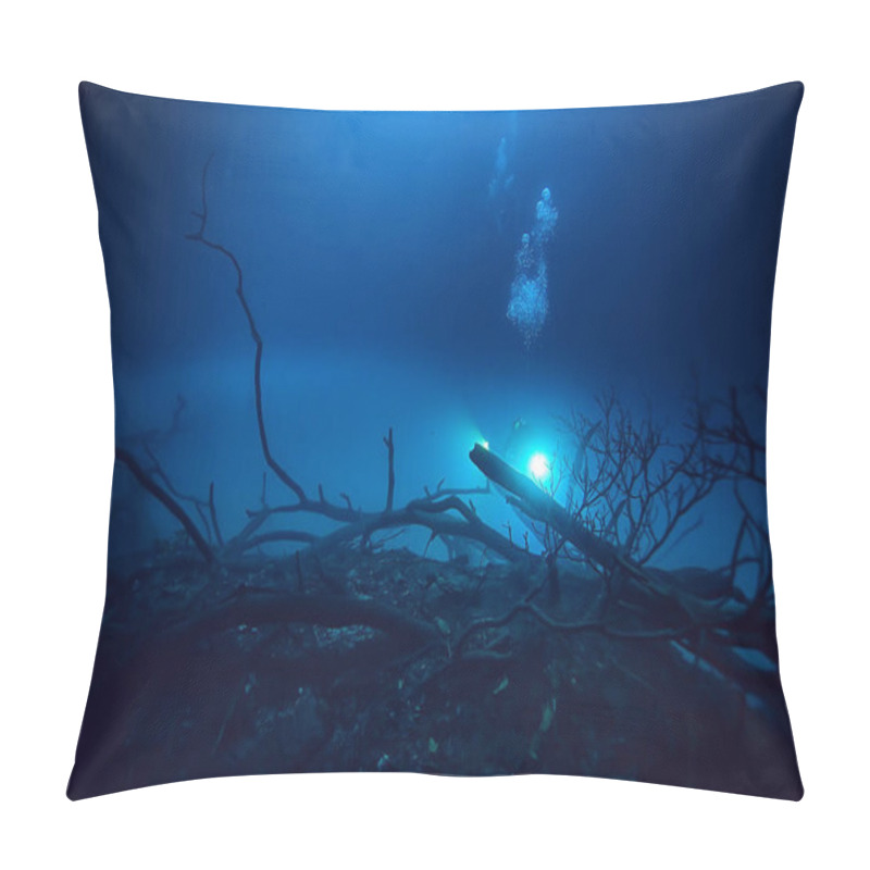 Personality  Landscape Diving In Cenote, Underwater Fog Hydrogen Sulfide, Extreme Adventure In Mexico Pillow Covers