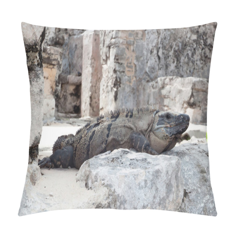 Personality  Wild Iguana In Ruins Of Tulum Pillow Covers