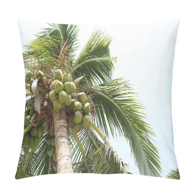 Personality  Palm Tree Pillow Covers