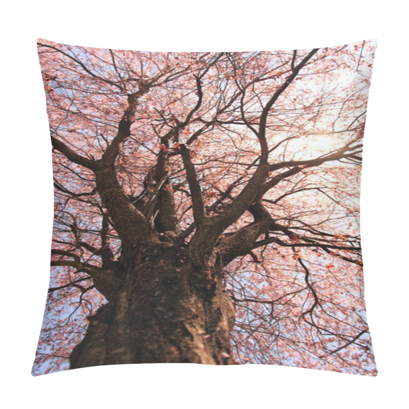 Personality  Large Plum Tree Pillow Covers