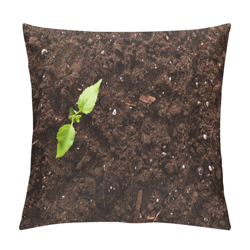 Personality  Seedling Green Plant Surface Top View Textured Background Pillow Covers