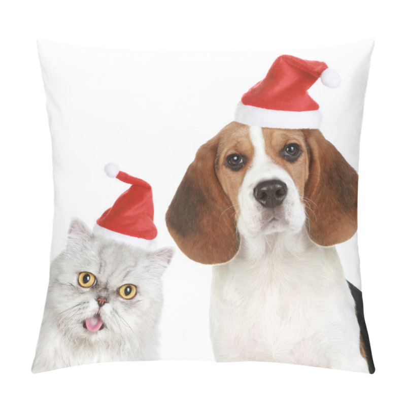 Personality  Portrait Of A Cat And Dog In Red Christmas Hats Pillow Covers