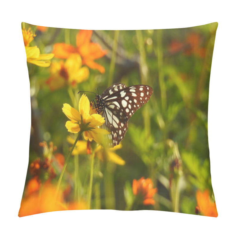 Personality  Monarch Black And White Butterfly On Yellow Flower In Garden, Landscape Nature Photography Of Butterfly. Black And White Butterfly Closeup With Green Background With Green Leaf, Butterfly On Flower Taking Food , Black Butterfly On Flower With It Legs Pillow Covers